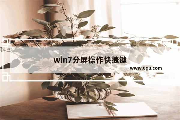 win7分屏操作快捷键