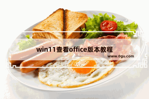 win11查看office版本教程