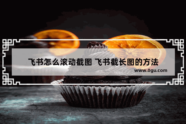飞书怎么滚动截图 飞书截长图的方法