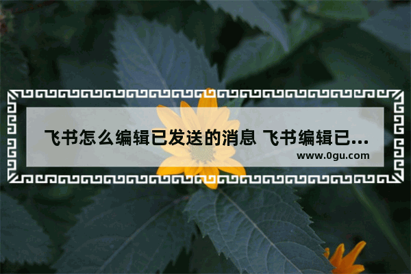 飞书怎么编辑已发送的消息 飞书编辑已发送的消息的方法