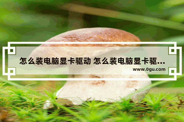 怎么装电脑显卡驱动 怎么装电脑显卡驱动教程
