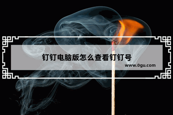 钉钉电脑版怎么查看钉钉号