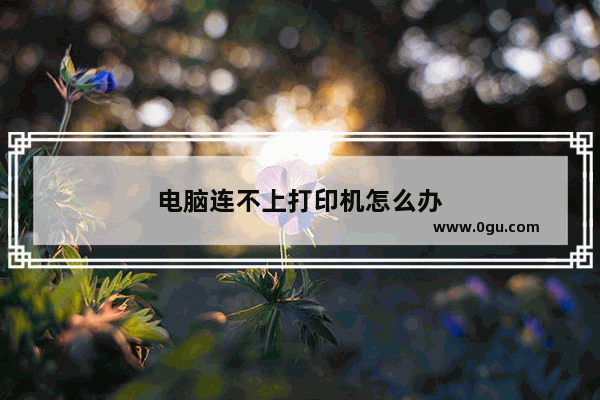 电脑连不上打印机怎么办