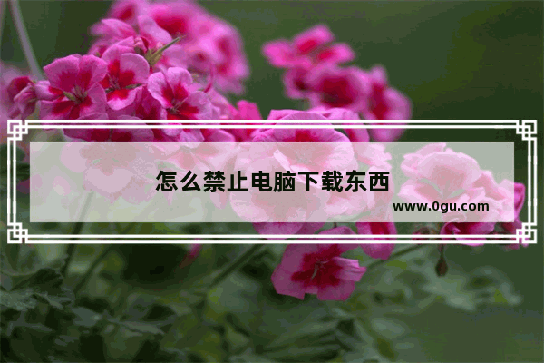 怎么禁止电脑下载东西