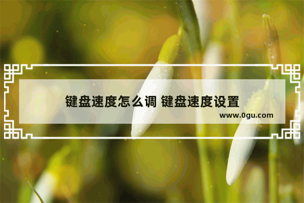 键盘速度怎么调 键盘速度设置