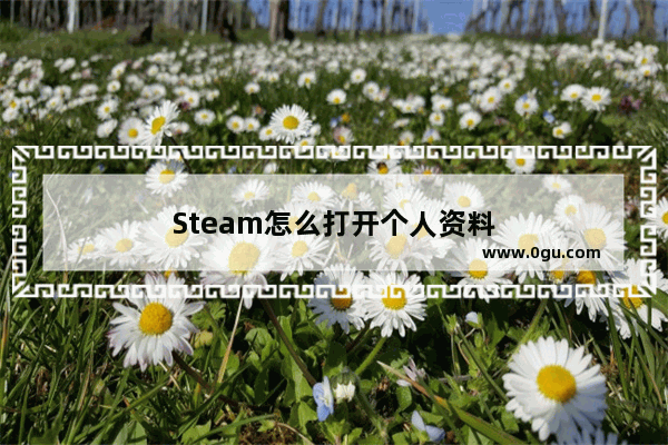 Steam怎么打开个人资料