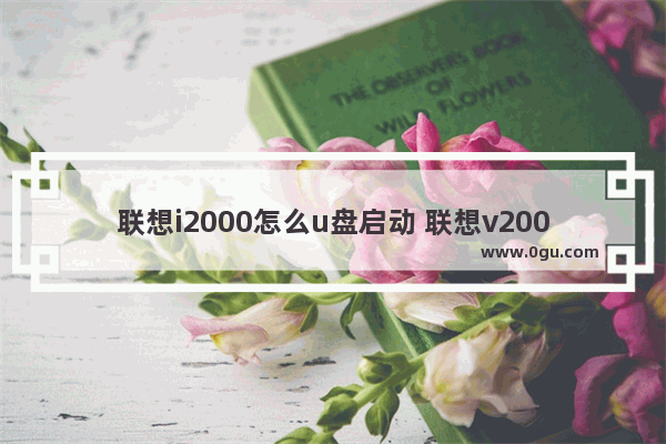 联想i2000怎么u盘启动 联想v2000u盘启动