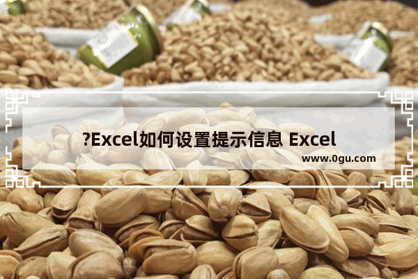 ?Excel如何设置提示信息 Excel表格中设置输入提示信息的方法教程
