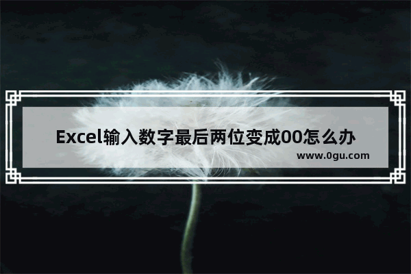 Excel输入数字最后两位变成00怎么办 Excel输入数字最后两位变成00的解决方法