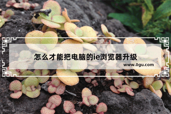 怎么才能把电脑的ie浏览器升级