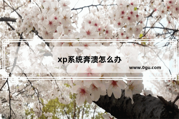 xp系统奔溃怎么办
