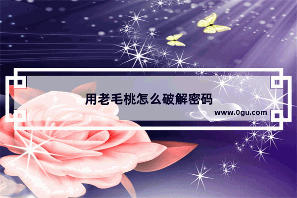 用老毛桃怎么破解密码