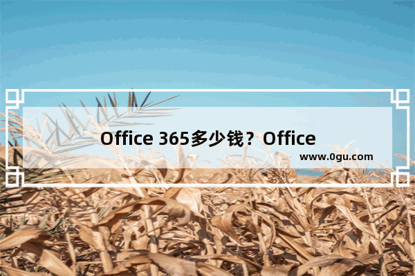 Office 365多少钱？Office365微软官网购买资费详解