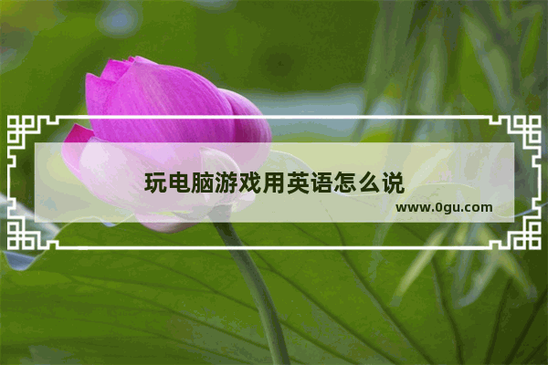 玩电脑游戏用英语怎么说