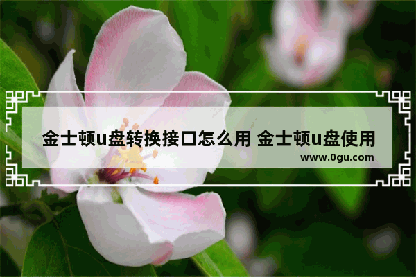 金士顿u盘转换接口怎么用 金士顿u盘使用说明