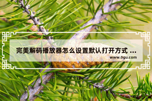 完美解码播放器怎么设置默认打开方式 完美解码播放器设置默认打开方式的方法