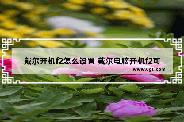 戴尔开机f2怎么设置 戴尔电脑开机f2可以重置系统吗