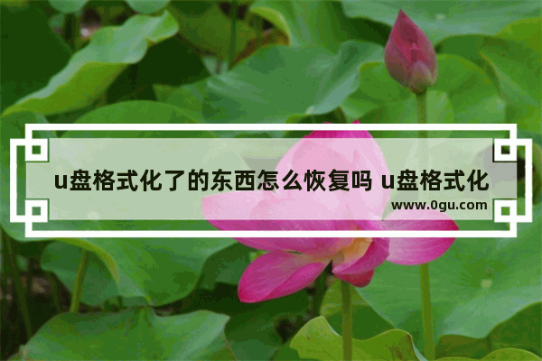 u盘格式化了的东西怎么恢复吗 u盘格式化了东西还能找回来吗