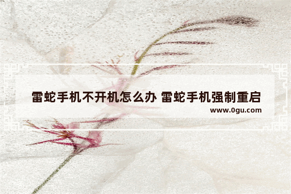 雷蛇手机不开机怎么办 雷蛇手机强制重启