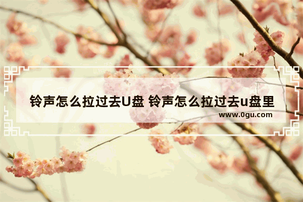 铃声怎么拉过去U盘 铃声怎么拉过去u盘里的歌