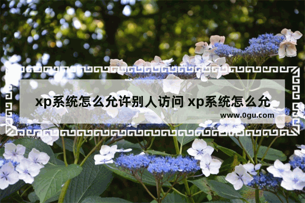 xp系统怎么允许别人访问 xp系统怎么允许别人访问我的网页