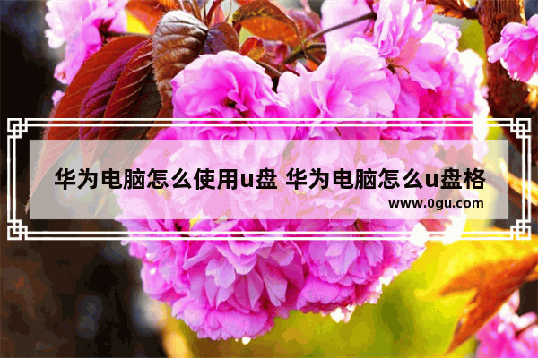 华为电脑怎么使用u盘 华为电脑怎么u盘格式化