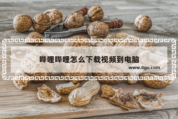 哔哩哔哩怎么下载视频到电脑