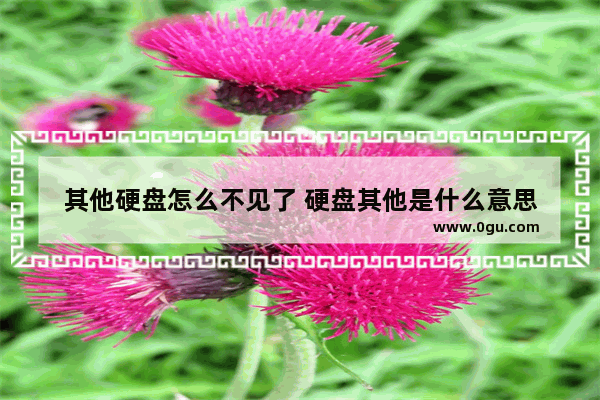 其他硬盘怎么不见了 硬盘其他是什么意思