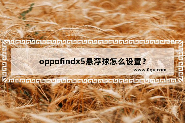 oppofindx5悬浮球怎么设置？