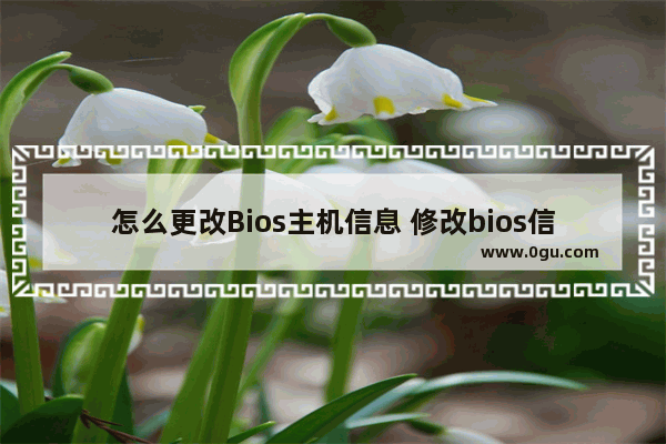 怎么更改Bios主机信息 修改bios信息
