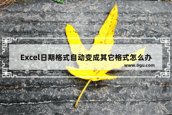 Excel日期格式自动变成其它格式怎么办 Excel日期格式自动变成其它格式的解决方法