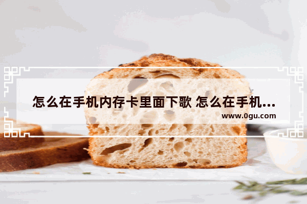 怎么在手机内存卡里面下歌 怎么在手机内存卡上下歌