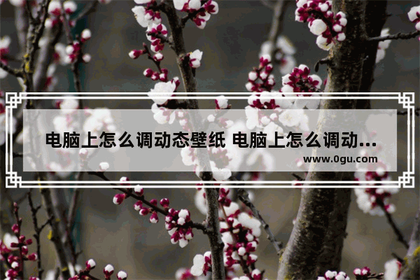 电脑上怎么调动态壁纸 电脑上怎么调动态壁纸视频