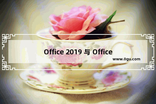 Office 2019 与 Office 365 主要区别，以及个人消费者该如何选择