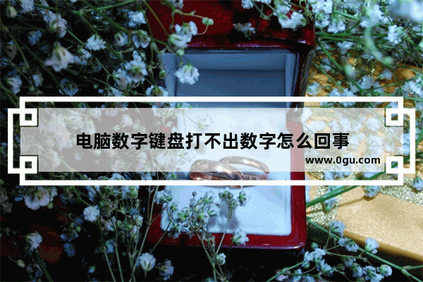 电脑数字键盘打不出数字怎么回事