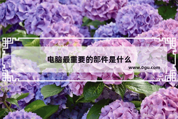 电脑最重要的部件是什么