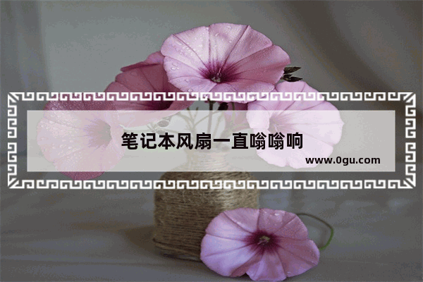 笔记本风扇一直嗡嗡响