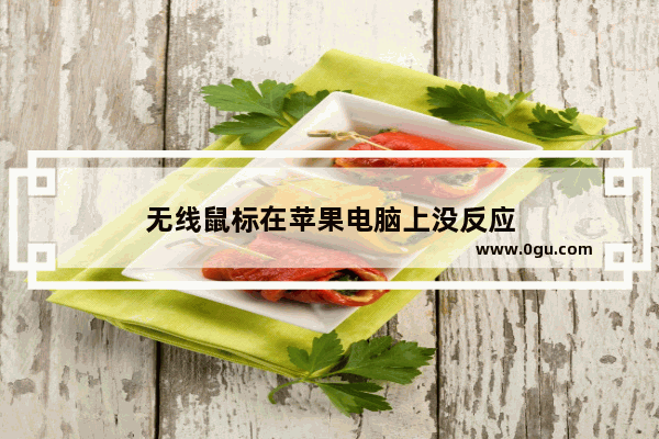 无线鼠标在苹果电脑上没反应