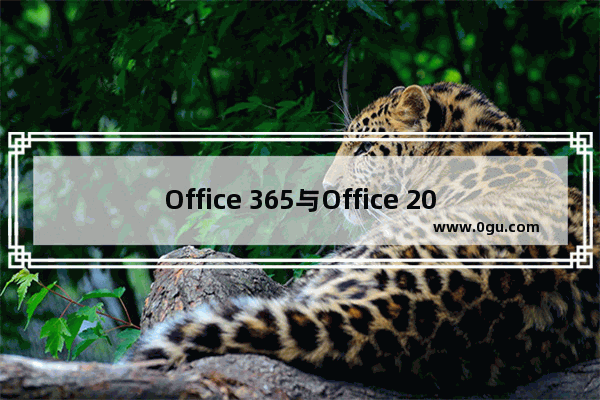 Office 365与Office 2019 有何不同？
