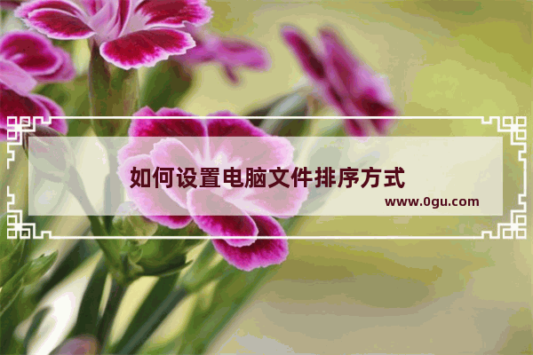 如何设置电脑文件排序方式