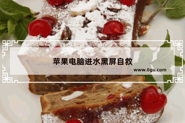 苹果电脑进水黑屏自救