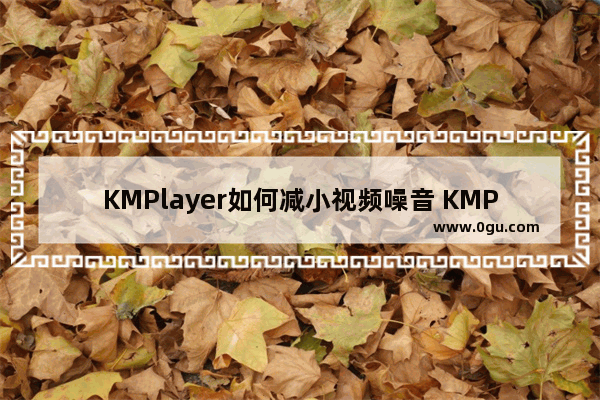 KMPlayer如何减小视频噪音 KMPlayer减小视频噪音的方法