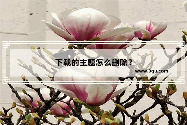 下载的主题怎么删除？