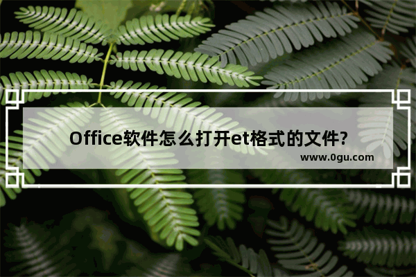 Office软件怎么打开et格式的文件?
