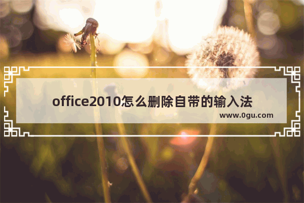 office2010怎么删除自带的输入法？