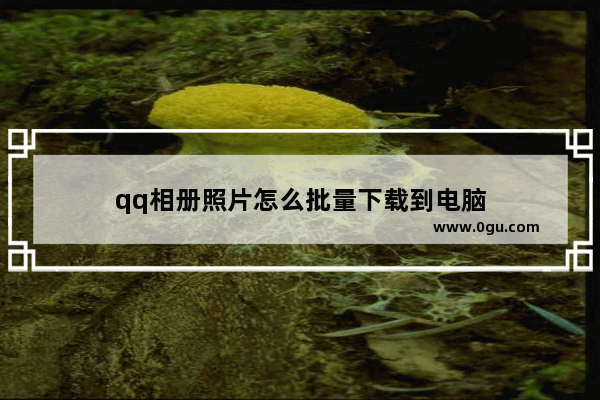 qq相册照片怎么批量下载到电脑