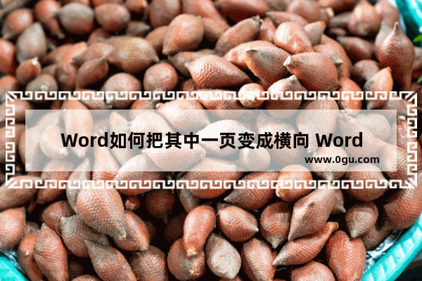 Word如何把其中一页变成横向 Word把其中一页变成横向的方法