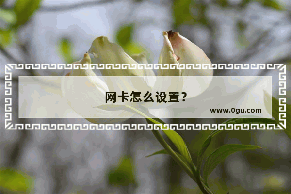 网卡怎么设置？