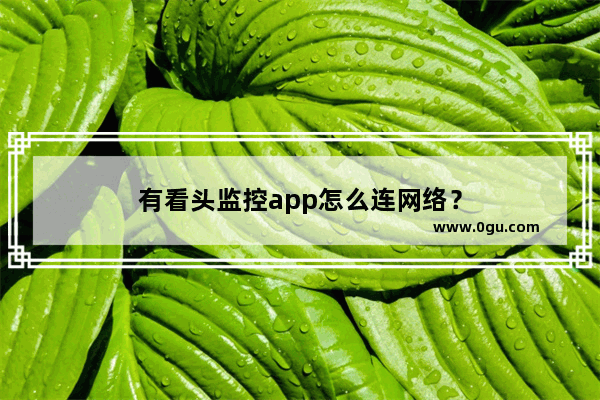 有看头监控app怎么连网络？