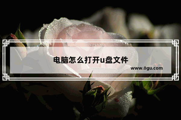 电脑怎么打开u盘文件